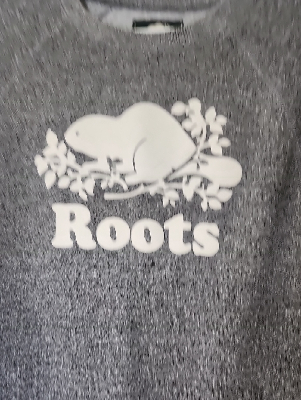 Roots Men's Grey Crewneck with White Logo - Picture 3 of 4